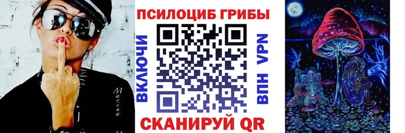 Купить закладки Карталы Галлюциногенные грибы Psilocybine cubensis